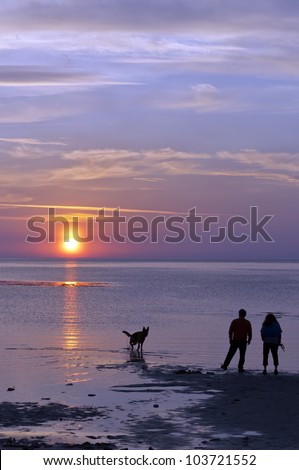 A happy couple take their dog for a walk on the beach against the backdrop of a romantic sunset