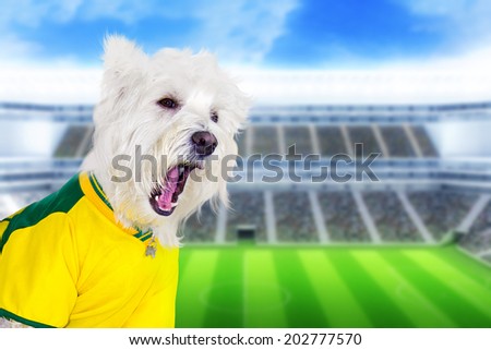 Brazilian west highland white terrier screaming at stadium