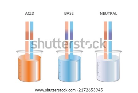 Litmus test, Acid, Base, Neutral Ph Paper test. Vector Illustration