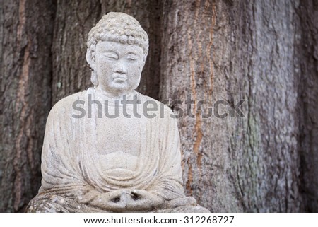 A stone Buddha statue at the base of a large tree, filtered style.
