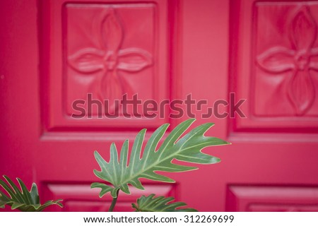 Close up of a green Philodendron plant in front of a red front door with flower carvings at the entrance to an upscale home.