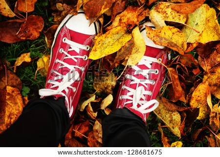 An autumn walk
