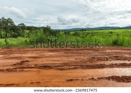 Similar – Image, Stock Photo Landscape with dirt road between blooming sunflower fields meadow on summer day in sunset rays. Agriculture, fields and pastures. Nature design. Agriculture of production of sunflower oil and seeds