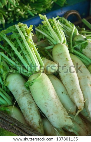 pile of organic white radish (Daikon radish) for retail sale in organic product market in thailand