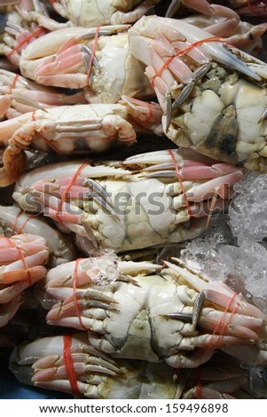 Fresh male crab on ice in local night market in thailand