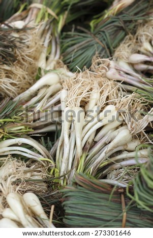 bunch of scallion,spring onion, green onion, green shallot in local market