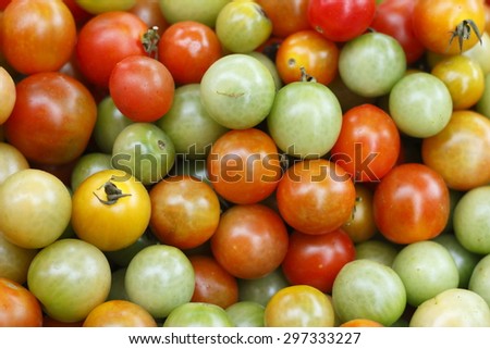 colorful tomato, red tomato, green tomato, red and green tomato.
tomato background. red and green tomato background.
