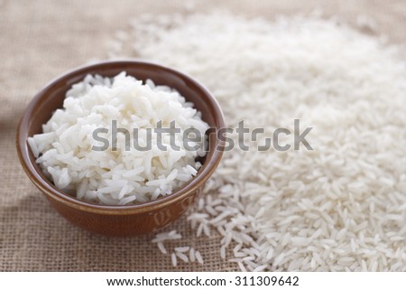 cooked rice and rice grain on jute cloth. jasmine rice. cooked jasmine rice and jasmine rice grain. cooked rice and rice grains.