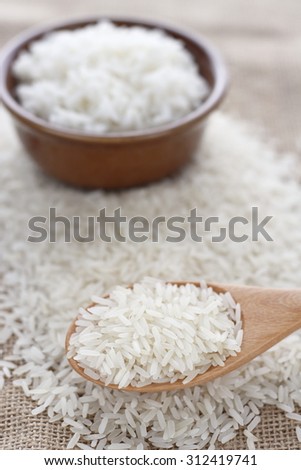 rice grain in wooden spoon and cooked rice on jute cloth. jasmine rice. jasmine rice grain and cooked jasmine rice. rice grains and cooked rice.