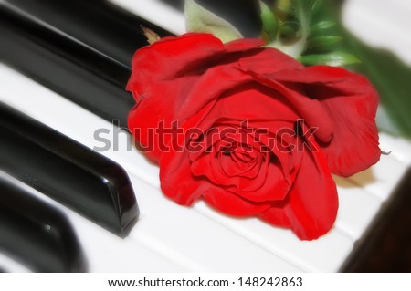 Red rose on piano keyboard