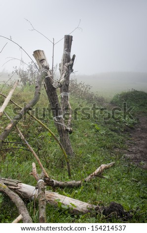 View of broken fence in autumn fog