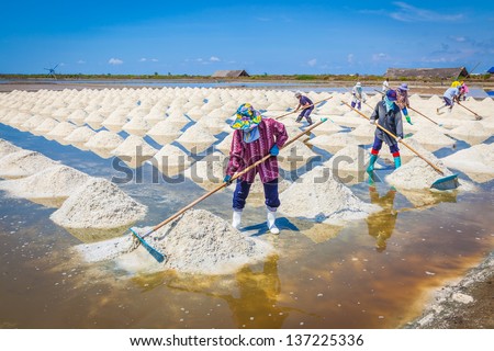 SAMUTSAKORN,THAILAND -APRIL 28: The workers are sweeping the raw salt for ready to moving to the store near Rama II road on April 28,2013 in Samutsakorn,Thailand