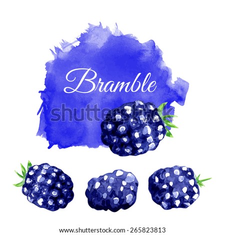 Watercolor banners with  bramble. Vector illustration. 