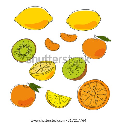 Food hand drawn elements. Fruits. Vitamins. Colorful citrus background. Healthy food. Lemon, orange, kiwi, mandarin.
