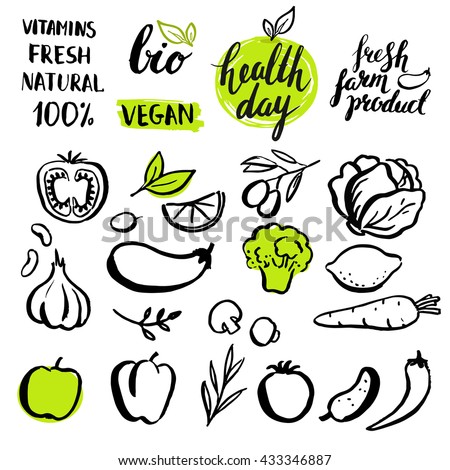 Set of vector handwritten elements with rough edges. Healthy farm food. Natural  bio product. Ink brush lettering. Hand drawn vegetables.