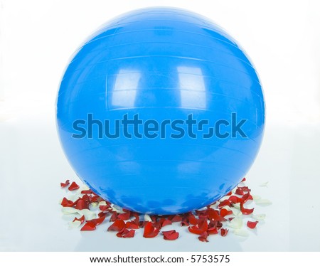 Big blue ball for pilate and petal rouses