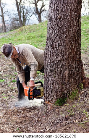 Old man cutting trees using an electrical chainsaw in the countryside