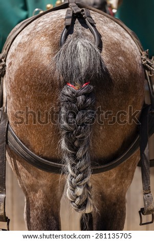 Braided horse tail