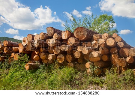 Closeup on log pile under blue sky at local timber works area