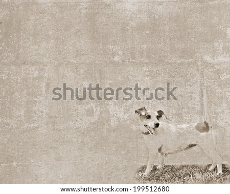 Abstract vintage textured background with a sketch of a small dog