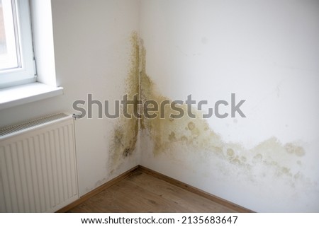 Similar – Image, Stock Photo old house wall with wild vine in autumn