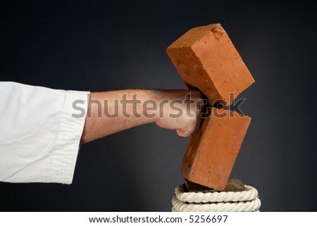karate man breaking  bricks on gray background