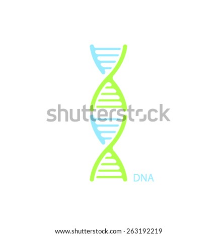 Vector icon DNA structure