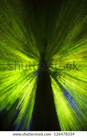 Green abstract image about green tree