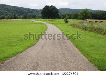 Tarmac road leading round bend into distance at Burton Park. Duncton. West Sussex. England