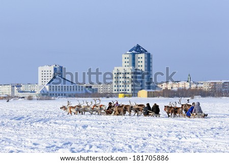 Nadym, Russia - March 01, 2014: People ride deer during the holiday \