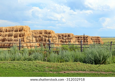 Hay in rolls against the sky