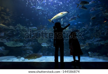 Silhouettes of two young girls enjoying views of underwater life