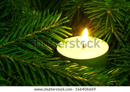 Burning candle of spruce needles