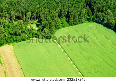 background of meadow with forest from above perspective