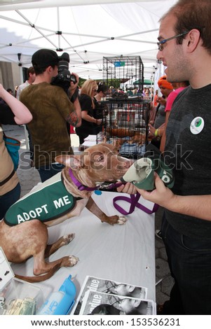 NEW YORK CITY - SEPTEMBER 8 2013: Adoptapalooza 2013 is a big tent adoption fair sponsored by the Mayor\'s Alliance for NYC Animals bringing together rescue groups September 8 2013 in New York City