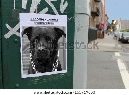 Homemade poster of lost dog, rottweiler in black & white taped onto utility box on urban thoroughfare with out of focus color background