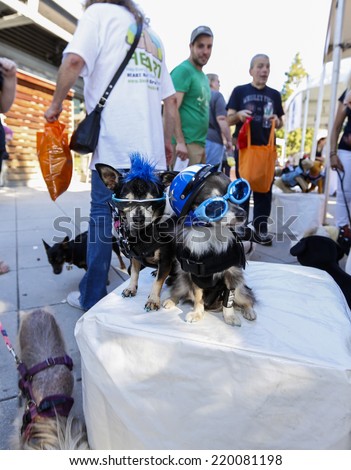 NEW YORK CITY - SEPTEMBER 27 2014: Best Friends Animal Society hosted its annual Strut Your Mutt walk & fundraiser along West Side Hgy followed by an adoption fair on Pier 84. Hipsters in sunglasses