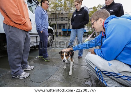 NEW YORK CITY - OCTOBER 11 2014: National Adopt a Shelter Dog month was marked by a dog & cat adoption fair at Brooklyn\'s Borough Hall