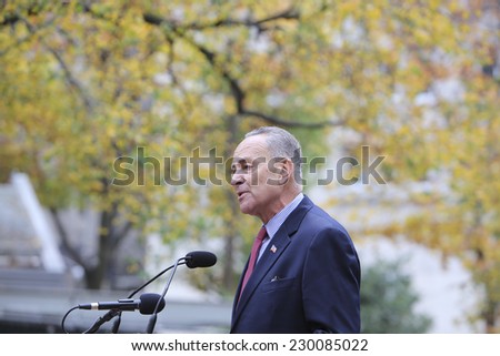 NEW YORK CITY - NOVEMBER 11 2014: the 95th annual Veteran\'s Day parade along Fifth Avenue is the largest Nov 11 celebration in the United States. US senator Charles Schumer