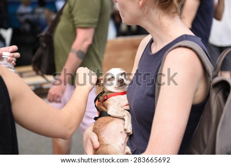 NEW  YORK CITY - MAY 31 2015 - Adoptapalooza, a rescue & animal adoption fair sponsored by the NYC Mayor's Alliance for Animals, brought hundreds of homeless animals to Union Square & possible homes