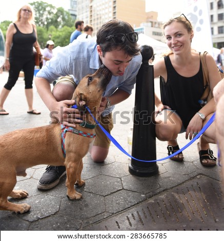 NEW  YORK CITY - MAY 31 2015 - Adoptapalooza, a rescue & animal adoption fair sponsored by the NYC Mayor's Alliance for Animals, brought hundreds of homeless animals to Union Square & possible homes
