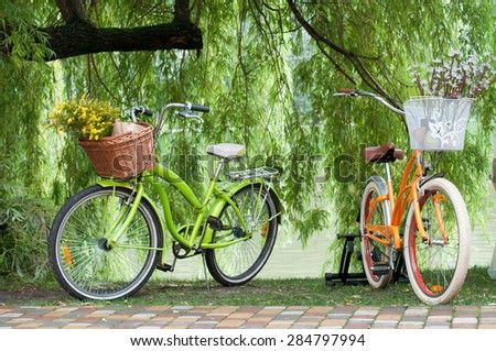 Two bicycles with flower basket  waiting near tree.