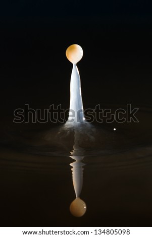 Pillar of water, milk and coffee formed by a drop of milk with coffee dropped into water, high speed