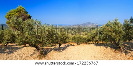 Beautiful panorama with olive trees of the landscape of Zakynthos, a greek island.