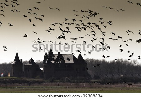 Castle silhouette with flying birds
