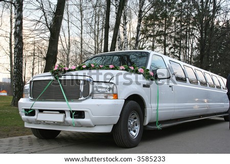 transportation wedding limousine white luxury long car