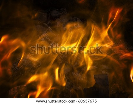 close of burning wood in an old oil drum