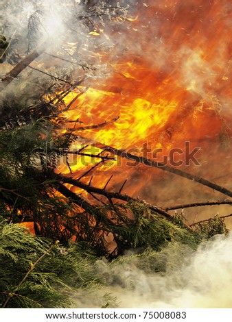 green trees from a forest on fire