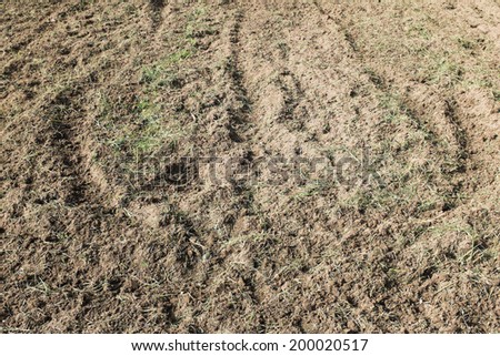 dry grass and dirt soil detail pattern texture nature background