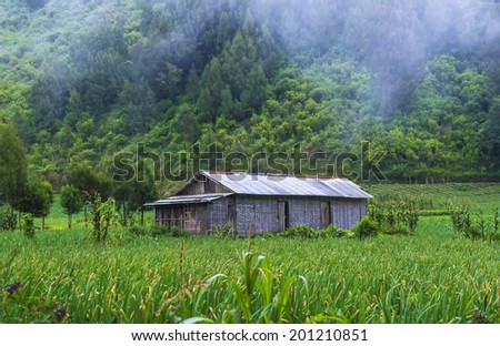 Old House at Paddy Field Ranu Pane, base-camp at Semeru Volcano Mountain, East Java, Indonesia. Semeru Mountain also known as Mahameru Mountain in Indonesia means the great mountain.
